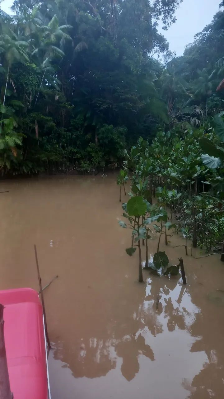 Terreno no Rio Salvador Grande  - Foto 4