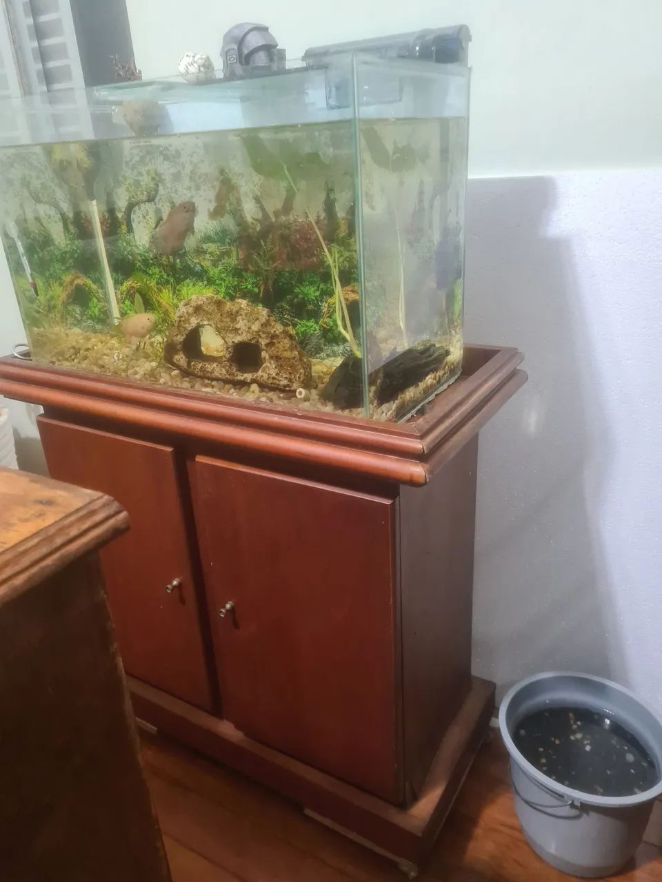 Aquário 75l - Foto 2