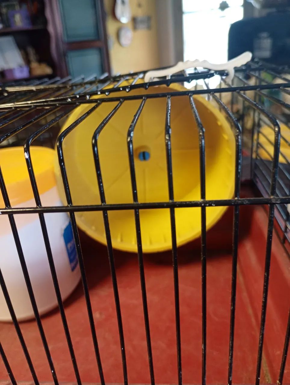 Gaiola para Hamster/roedores com acessórios  - Foto 3
