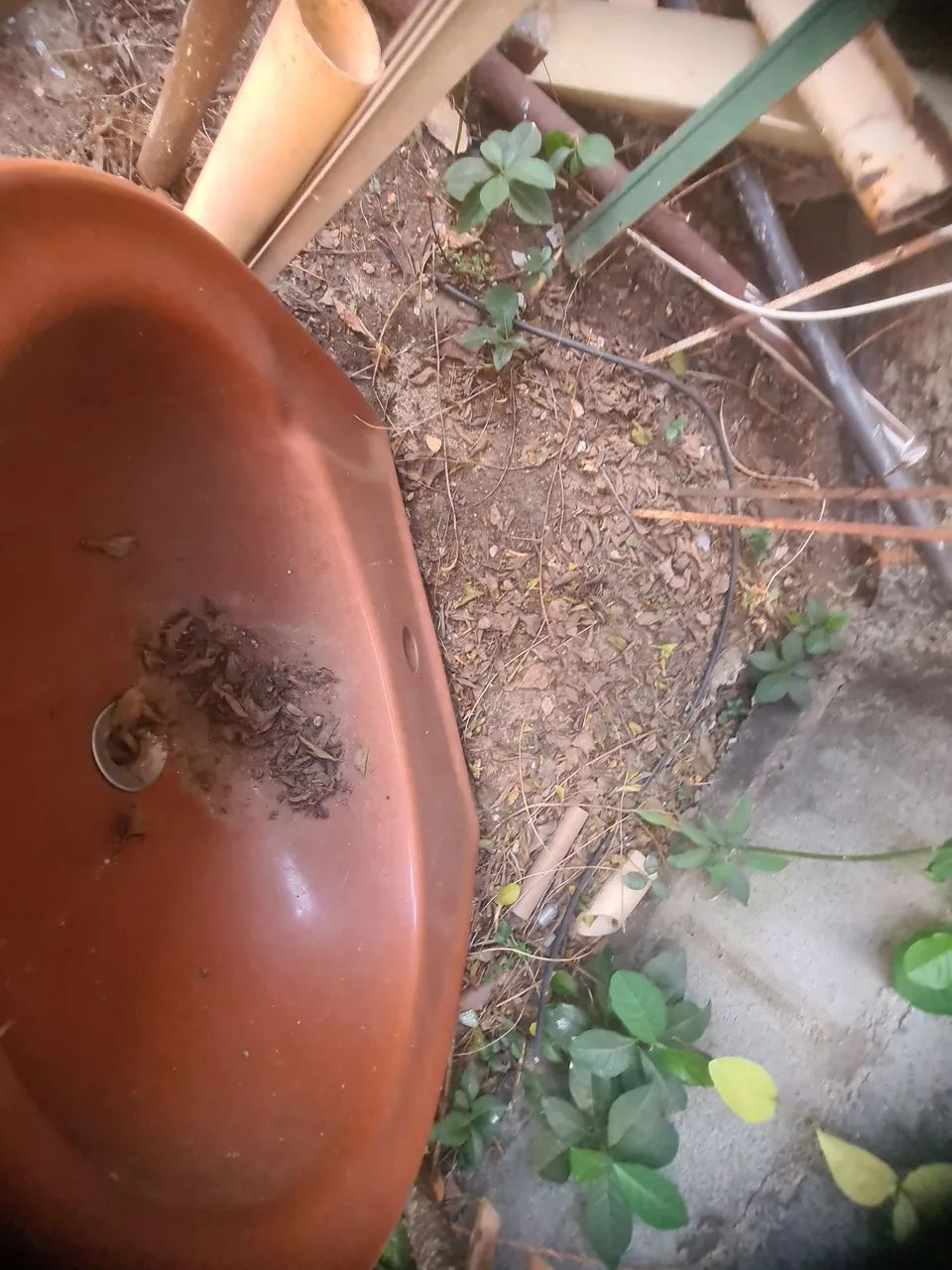 Vende-se  - Foto 3