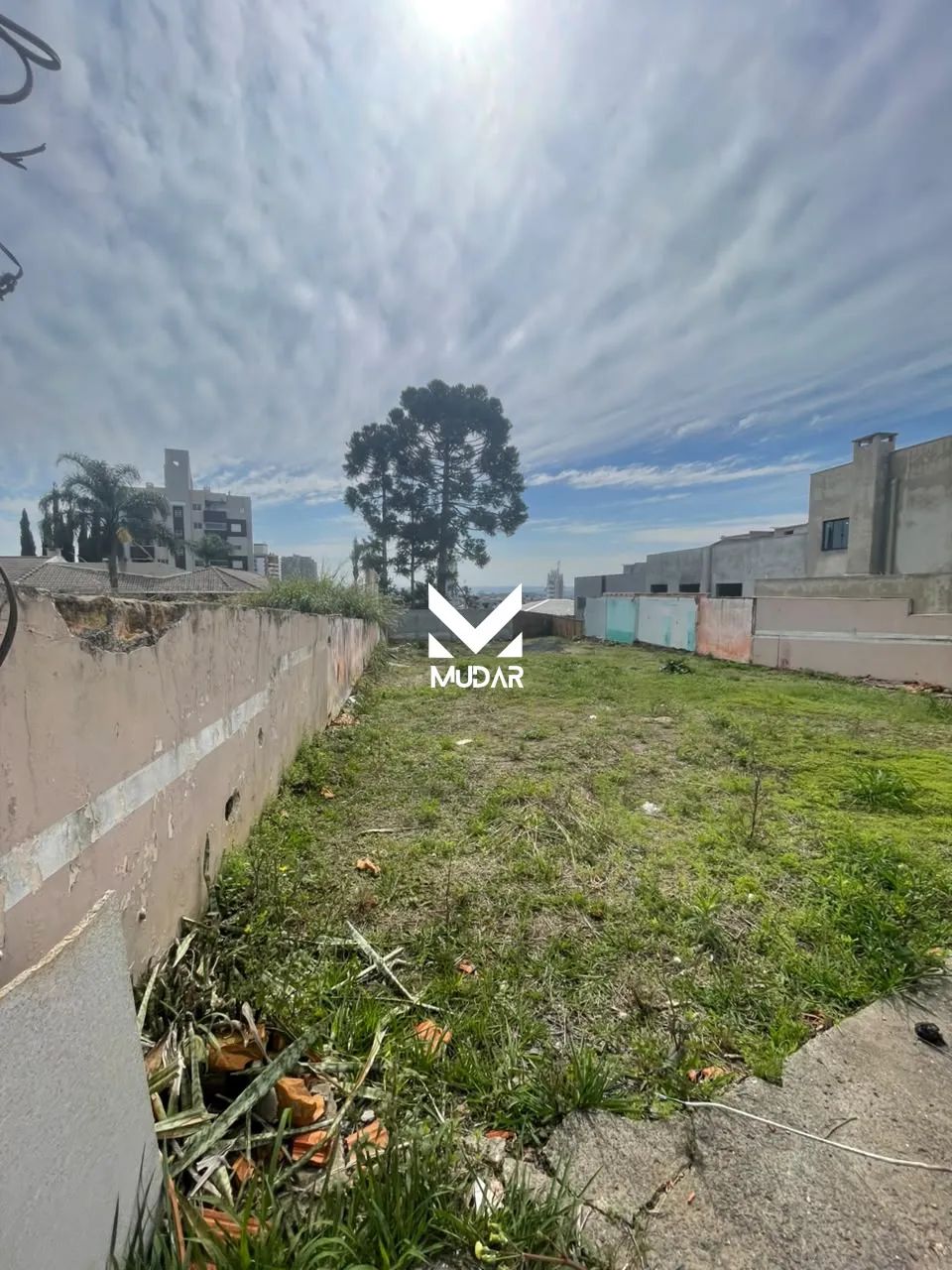Terreno com 557m2 no Jardim Carvalho - Foto 3