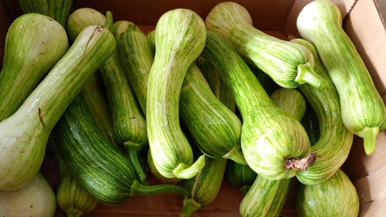 Verduras, legumes e frutas - Foto 2