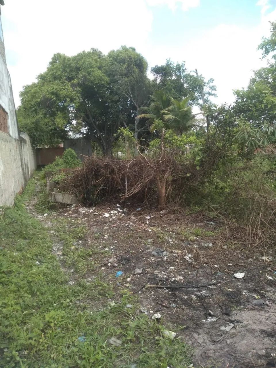 Terreno km 32