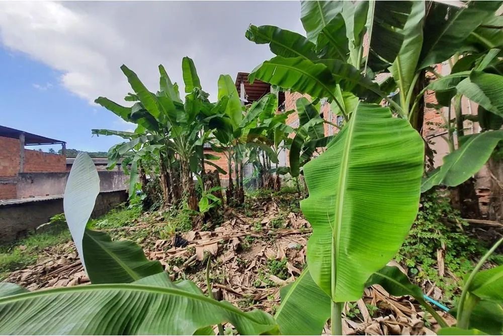 "Oportunidade Imperdível: Ponto Comercial em Salvador" - Foto 3