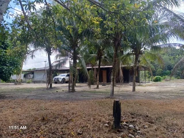 SITIO, BR174,  KM41 - Foto 5