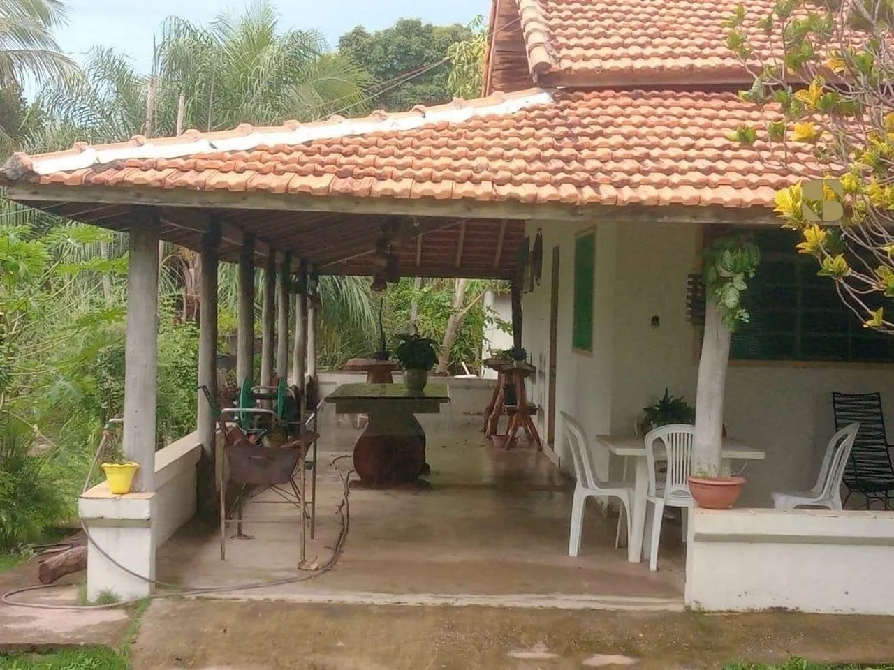 Fazenda em Mirassol do Oeste com 218 hectares - Foto 2