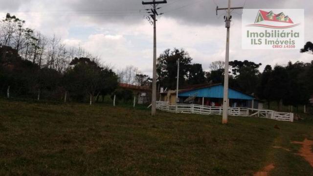 Sítio rural à venda, zona rural, quitandinha. - Foto 15
