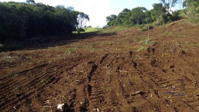 Fazenda à venda, 2541000 m² por r$ 3.675.000 - fazenda velha - nova laranjeiras/pr - Foto 6