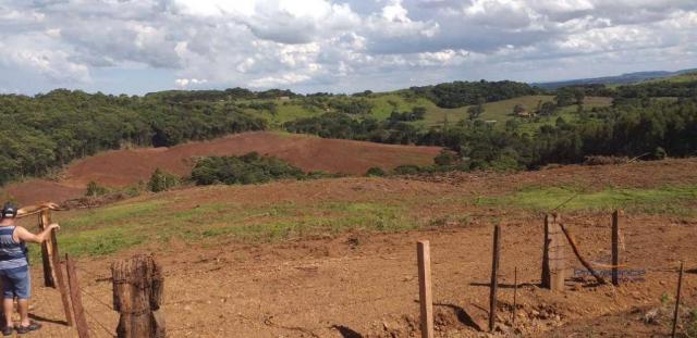 Fazenda à venda, 968000 m² por r$ 2.000.000,00 - fazenda velha - nova laranjeiras/pr - Foto 6