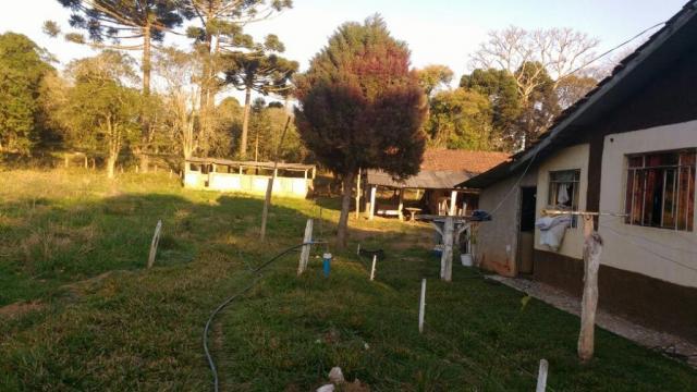 Sítio rural à venda, zona rural, quitandinha. - Foto 5
