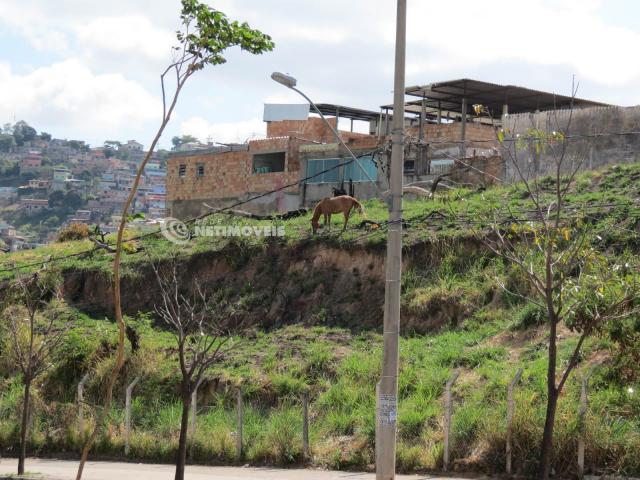Terreno à venda em Jardim alvorada, Belo horizonte cod:647864 - Foto 11