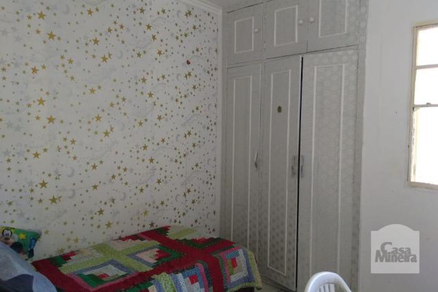 Casa à venda com 2 dormitórios em Alto caiçaras, Belo horizonte cod:245529 - Foto 9