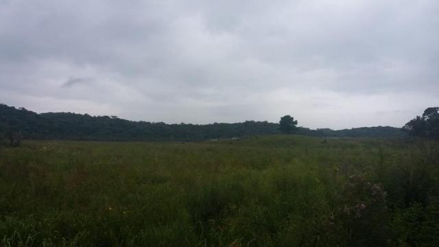 Área à venda, 103000 m² por r$ 700.000,00 - borda do campo - são josé dos pinhais/pr - Foto 15