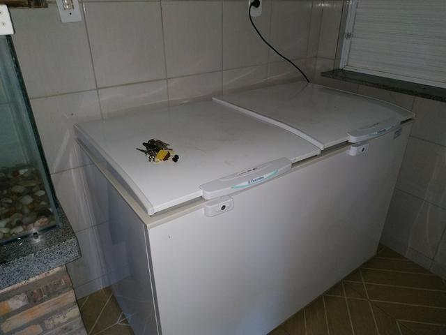 Aluga sítio - Foto 12