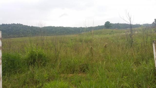 Área à venda, 103000 m² por r$ 700.000,00 - borda do campo - são josé dos pinhais/pr - Foto 20