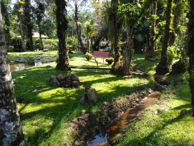 Chácara - São João da Graciosa - Morretes - Foto 12
