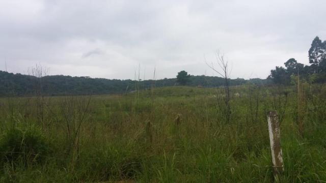 Área à venda, 103000 m² por r$ 700.000,00 - borda do campo - são josé dos pinhais/pr - Foto 13