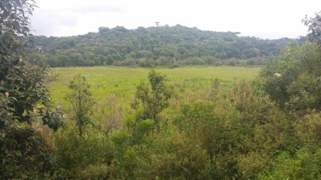 Área à venda, 103000 m² por r$ 700.000,00 - borda do campo - são josé dos pinhais/pr - Foto 12