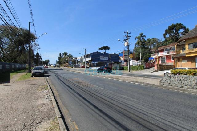 Terreno comercial na avenida manoel ribas - Foto 4