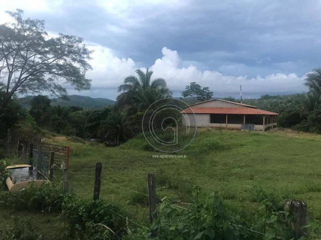 Sítio 80 ha santo antonio do leverger - Foto 12