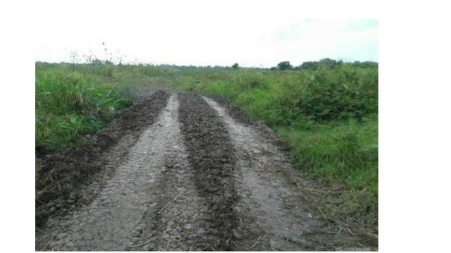 3300 Hectares, Poconé, capacidade 1300 reses, aceito permuta - Foto 4