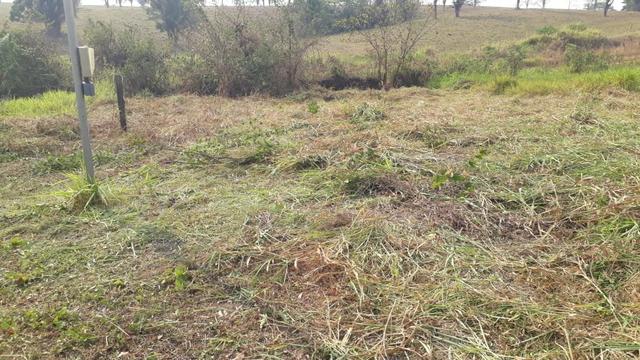 Terreno - Foto 2