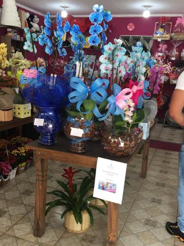 Vende se Floricultura 90.000,00 - Foto 12