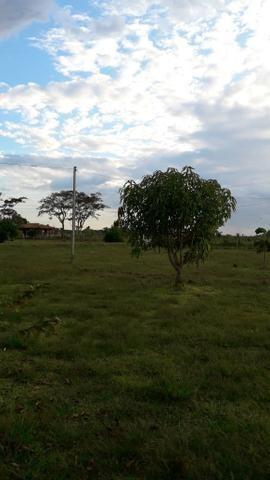 Sítio com 4,5 hectares, situado na cidade de Arari-MA - Foto 5