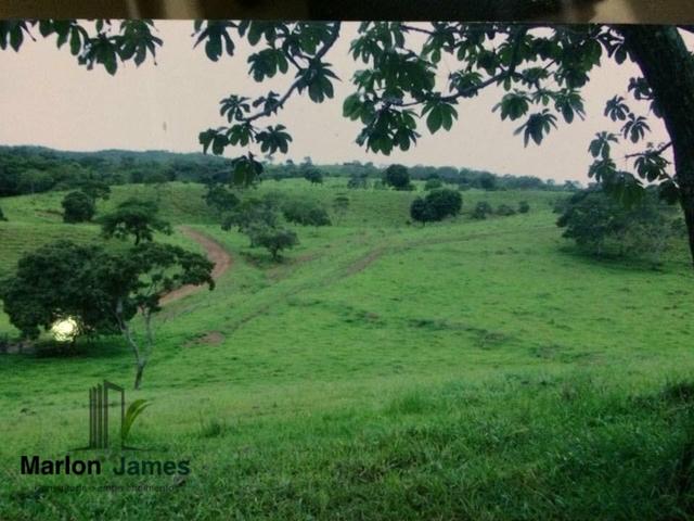 Fazenda em Santa Cruz de Goiás! - Foto 3
