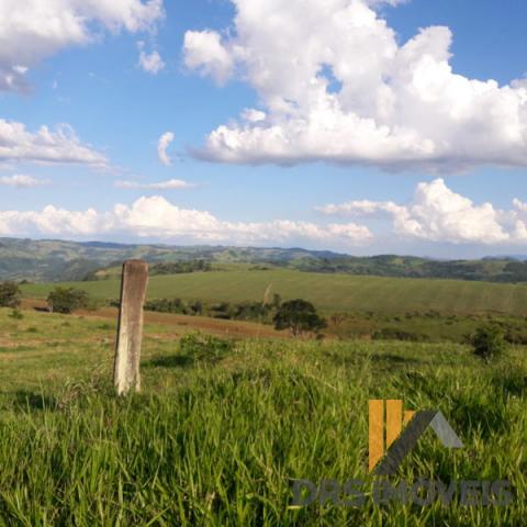 Rural sitio - Bairro Centro em Pitanga - Foto 20