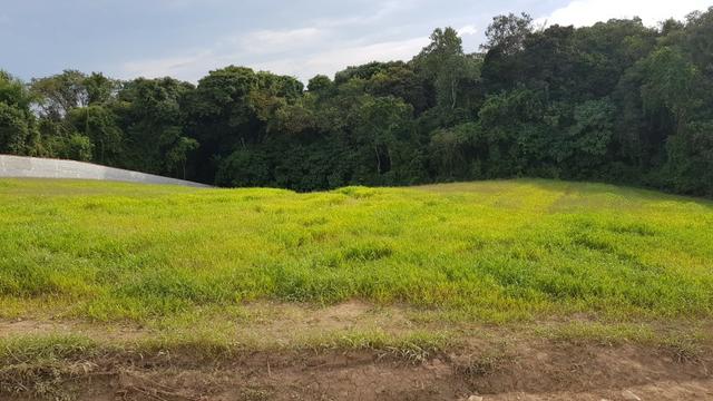 Chácara a 2min da prefeitura de Campo Magro, com matrícula -ao lado de condomínio - Foto 7