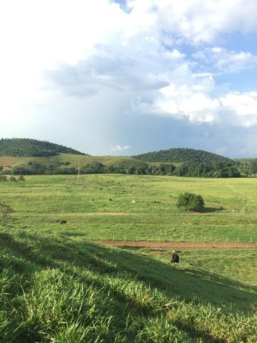 Procuro fazenda para arrendar no Espirito Santo ( gado de corte)