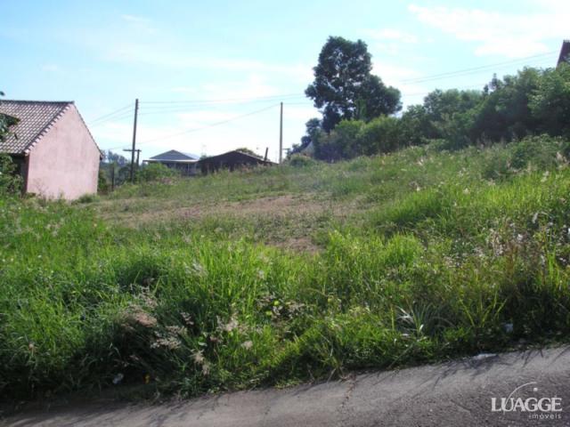 Terreno à venda em Vila nova, Porto alegre cod:LU23216 - Foto 2