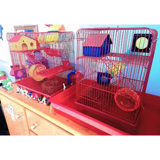 2 Gaiolas grande para Hasmter e Porquinho da Índia  - Foto 3