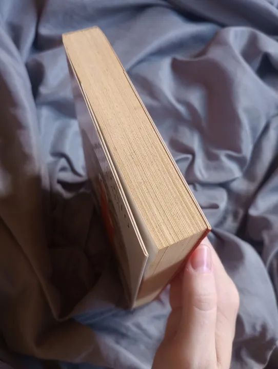 Livros O conto da Aia + Os testamentos  - Foto 2