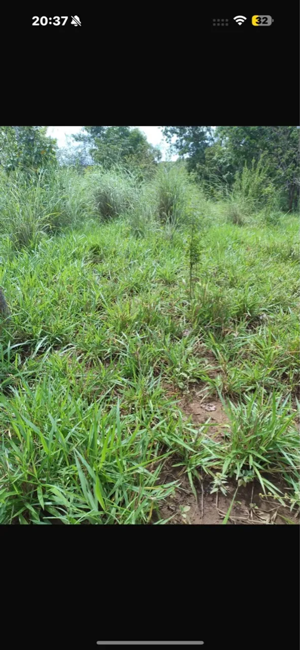 Chácara de 2 Equitaria ei buritis de minas 7 km do asfalto
