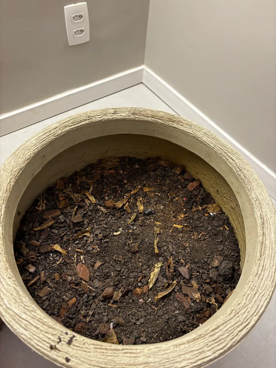 Vaso de planta grande (com ou sem terra)  - Foto 3