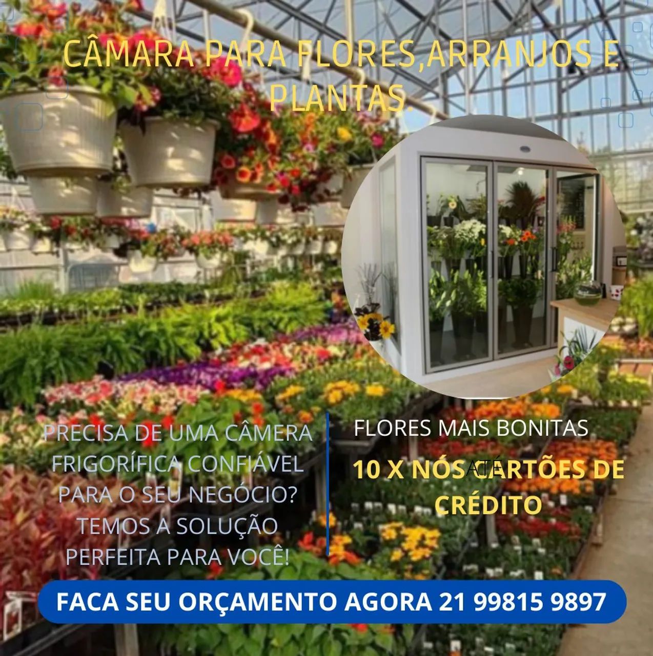 Câmara fria para flores, jardinagem.