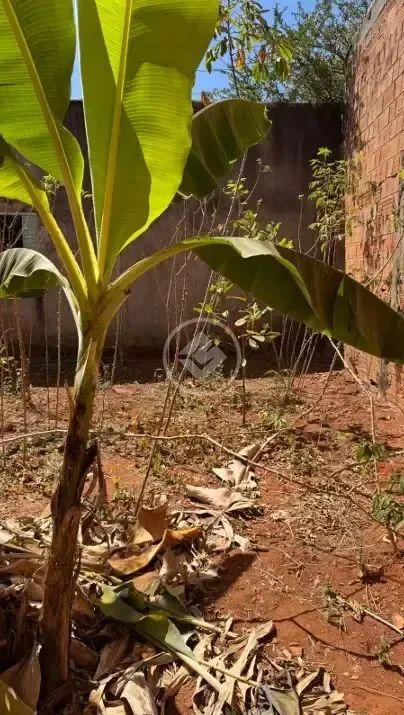 Lote no Setor Jardim Florença. codigo: 136339 - Foto 3