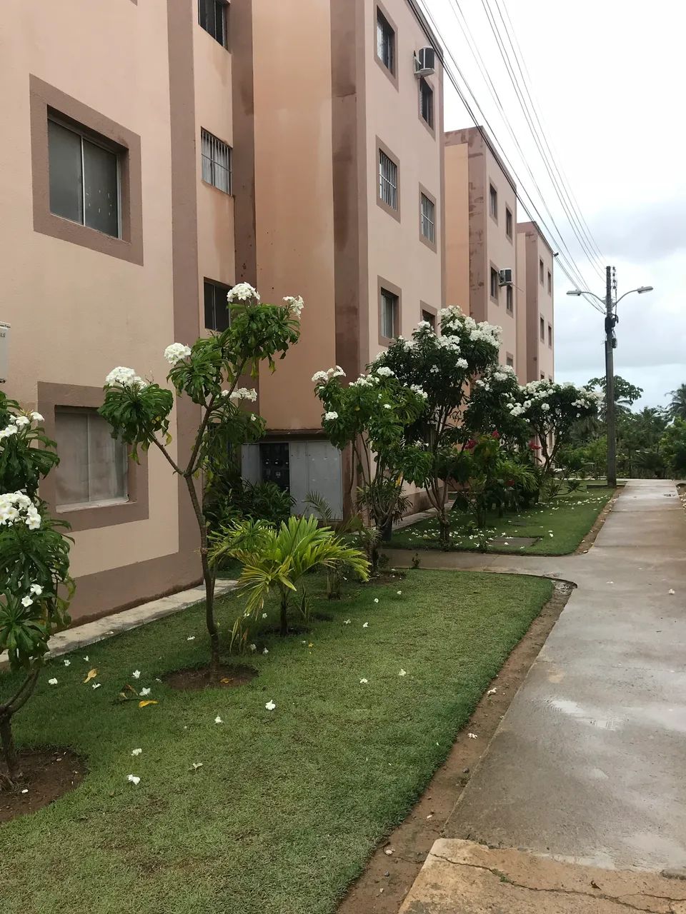Foto - Maceió - Petrópolis