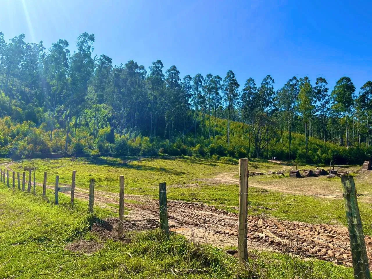 "Localização privilegiada: lotes de 1000m² em Alumínio, SP."