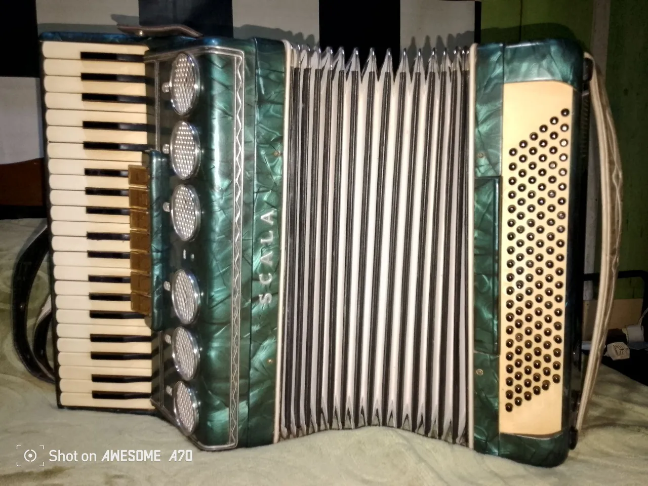 Acordeon Scala 120 baixos elétrica brilhante