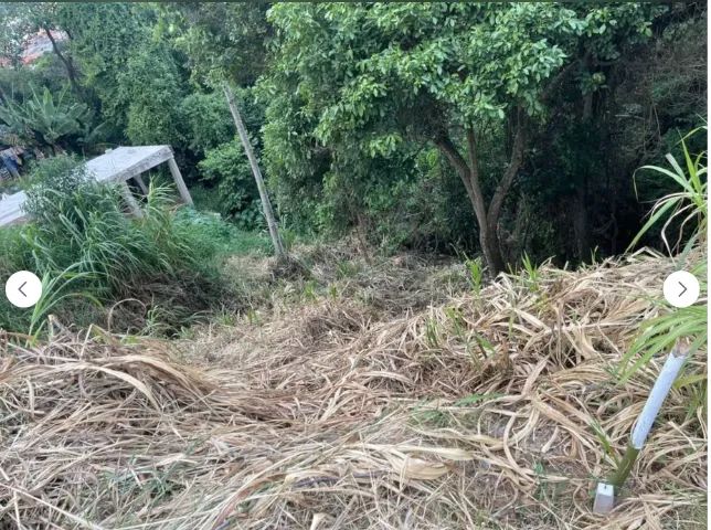 Terreno bom jesus perdões oportunidade - Foto 3