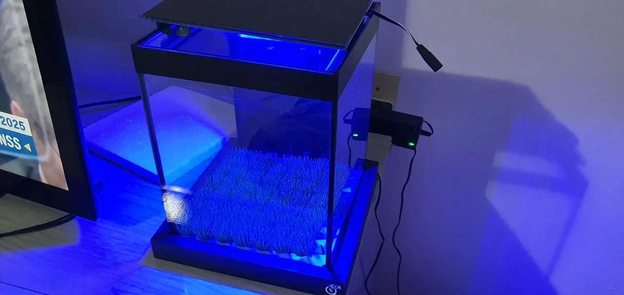 Aquário para peixe 10 litros com luminária de led, bomba, filtro, e enfeites - Foto 4