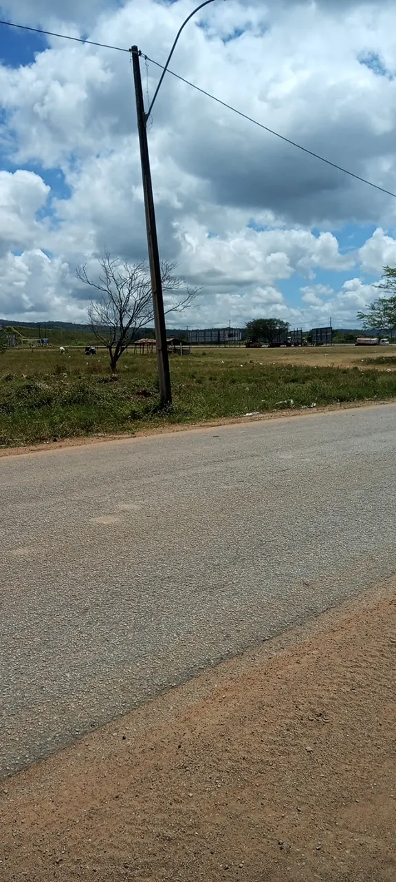 Area a venda em palmeira dos Índios Alagoas