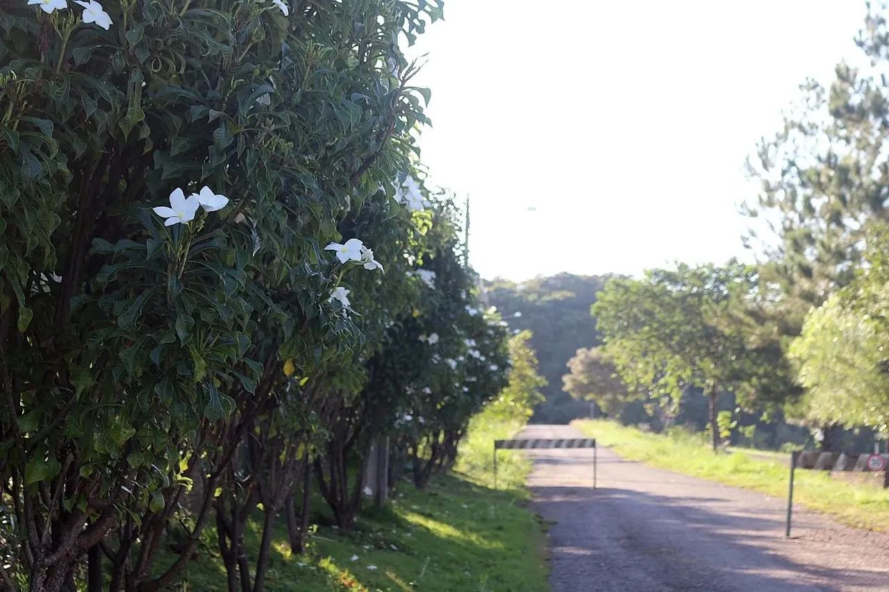 Área à venda no bairro Centro - Bela Vista de Goiás/GO - Foto 6