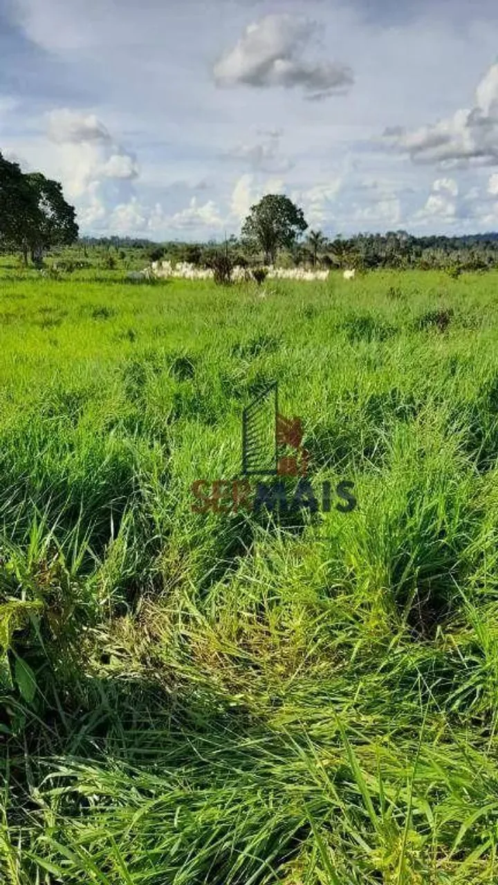 Sítio à venda, 653400 m² por R$ 1.080.000,00 - Zona Rural - Machadinho D'Oeste/RO
