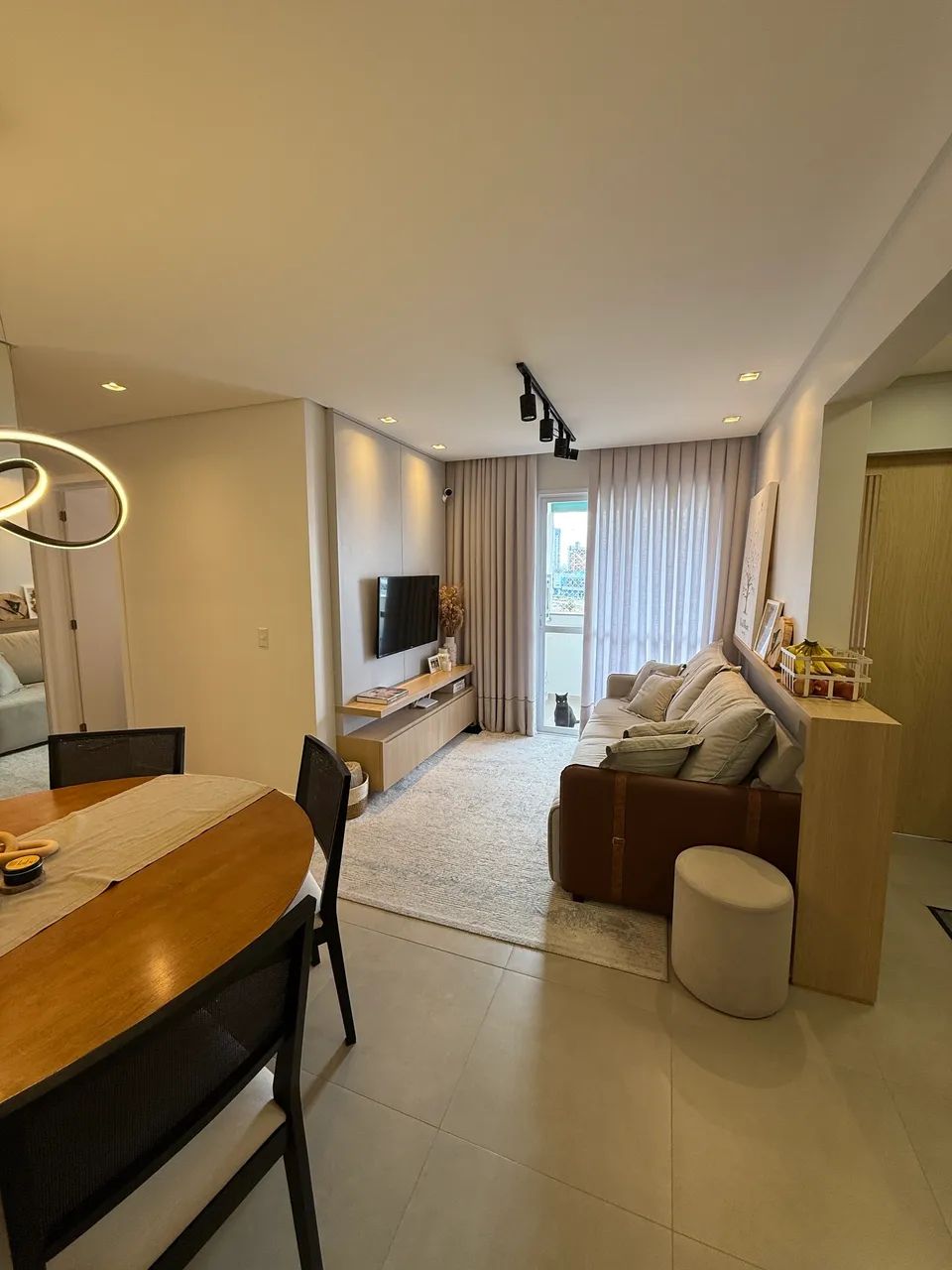 Foto - Tubarão - Recife