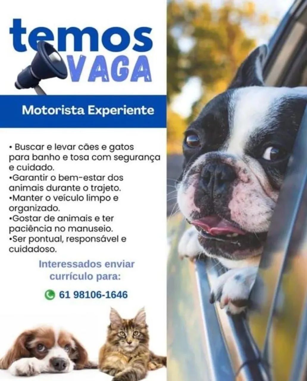 Oportunidade de trabalho 