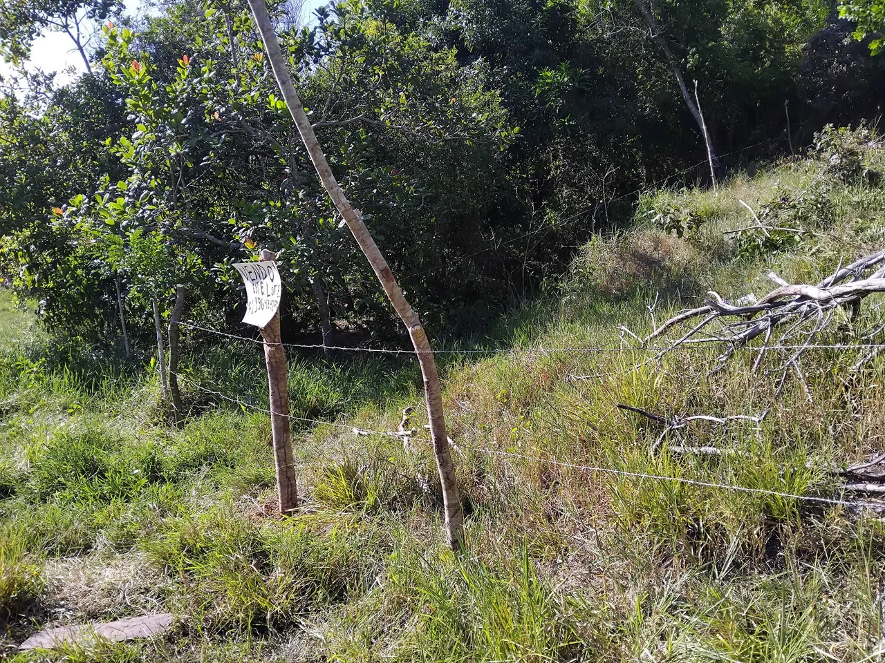 LOTE DE TERRA